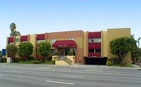Carlyle Hotel San Jose